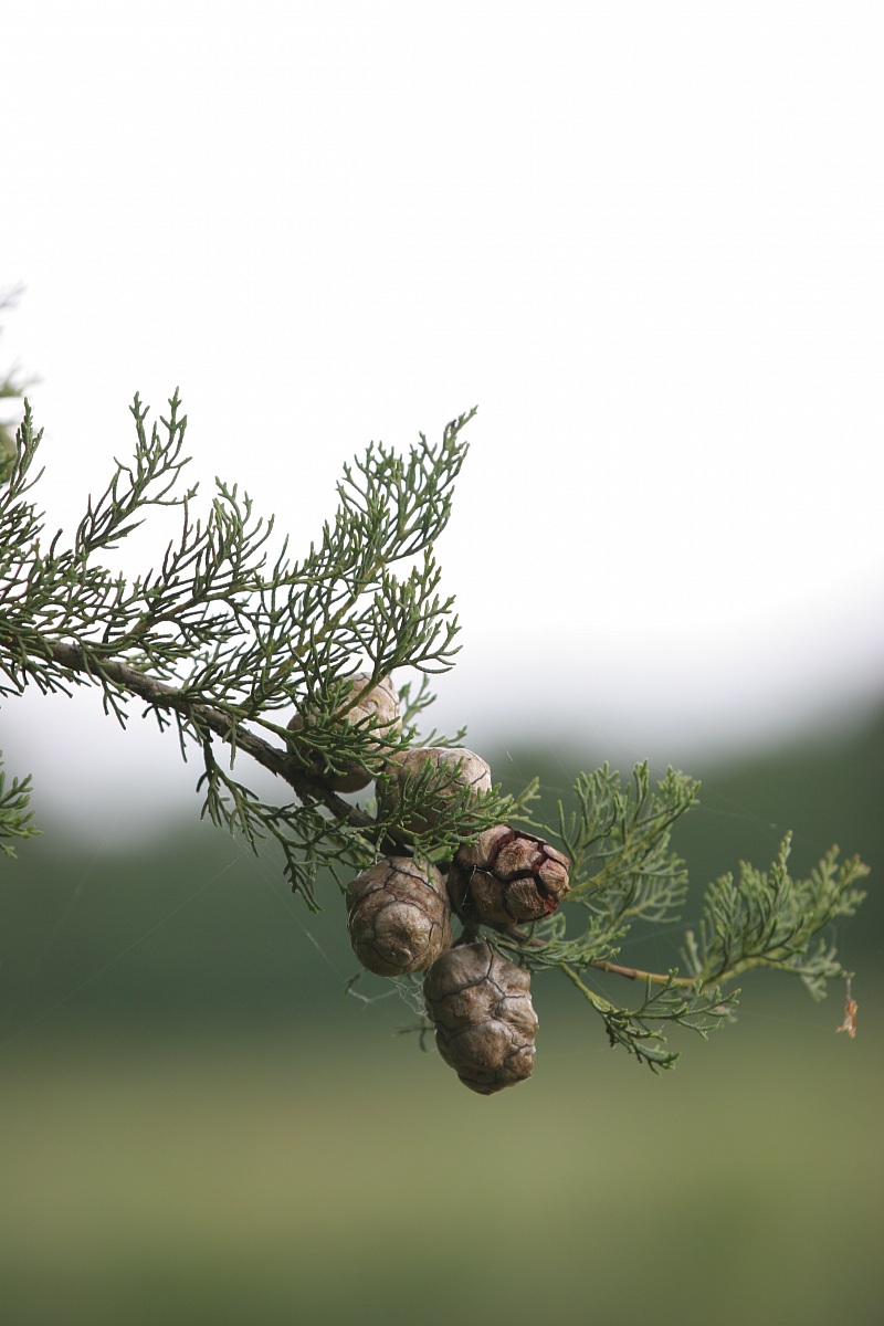 Facciamoci le coccole...