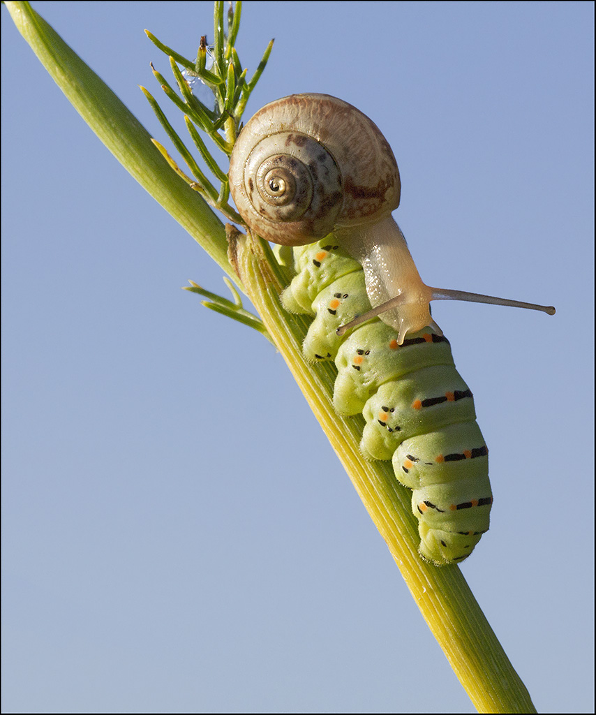 Question of Precedence