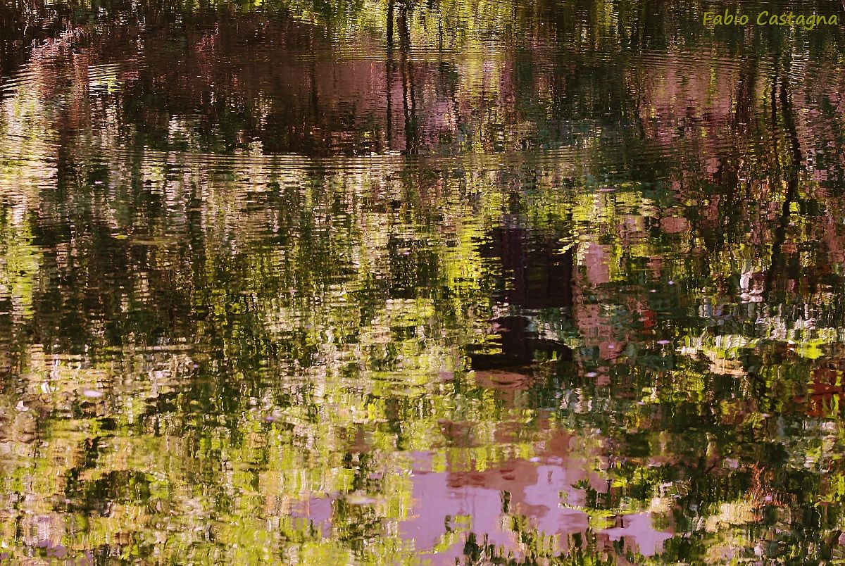 Like a Monet painting ...