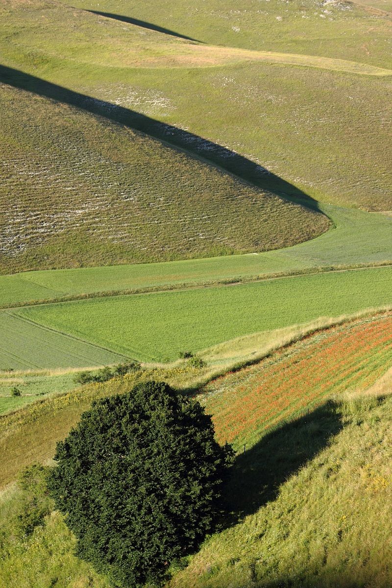 Castelluccio