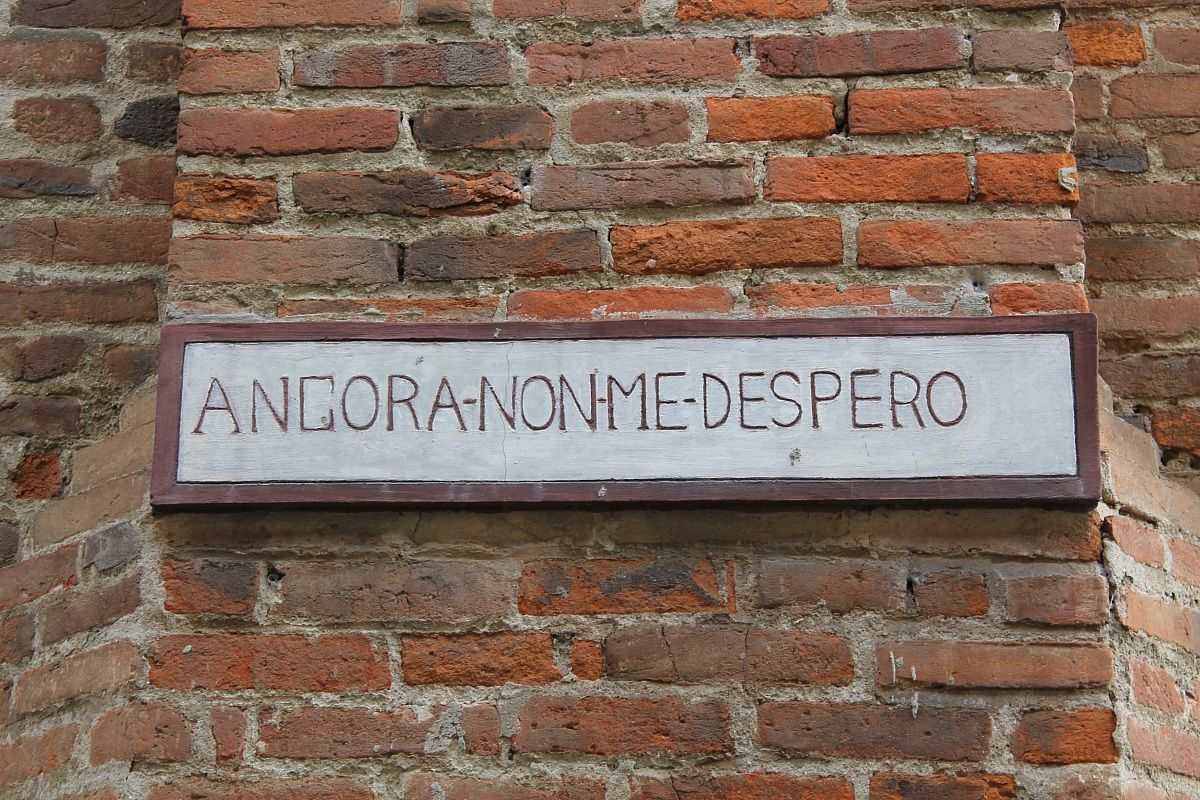 Maybe I will also learn to photograph