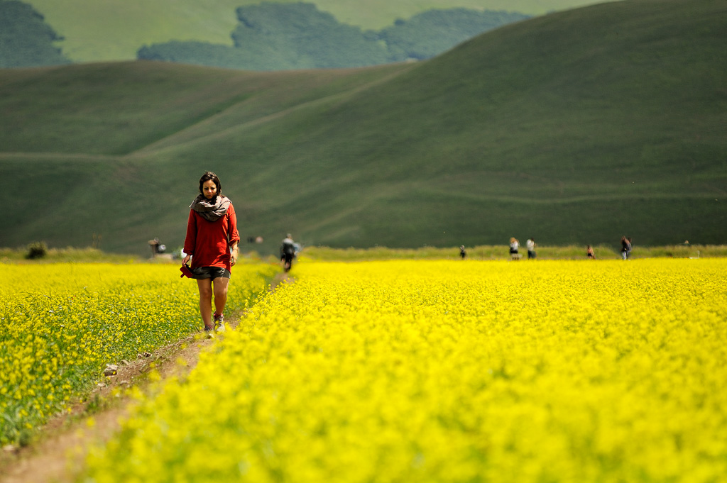 Castelluccio's people