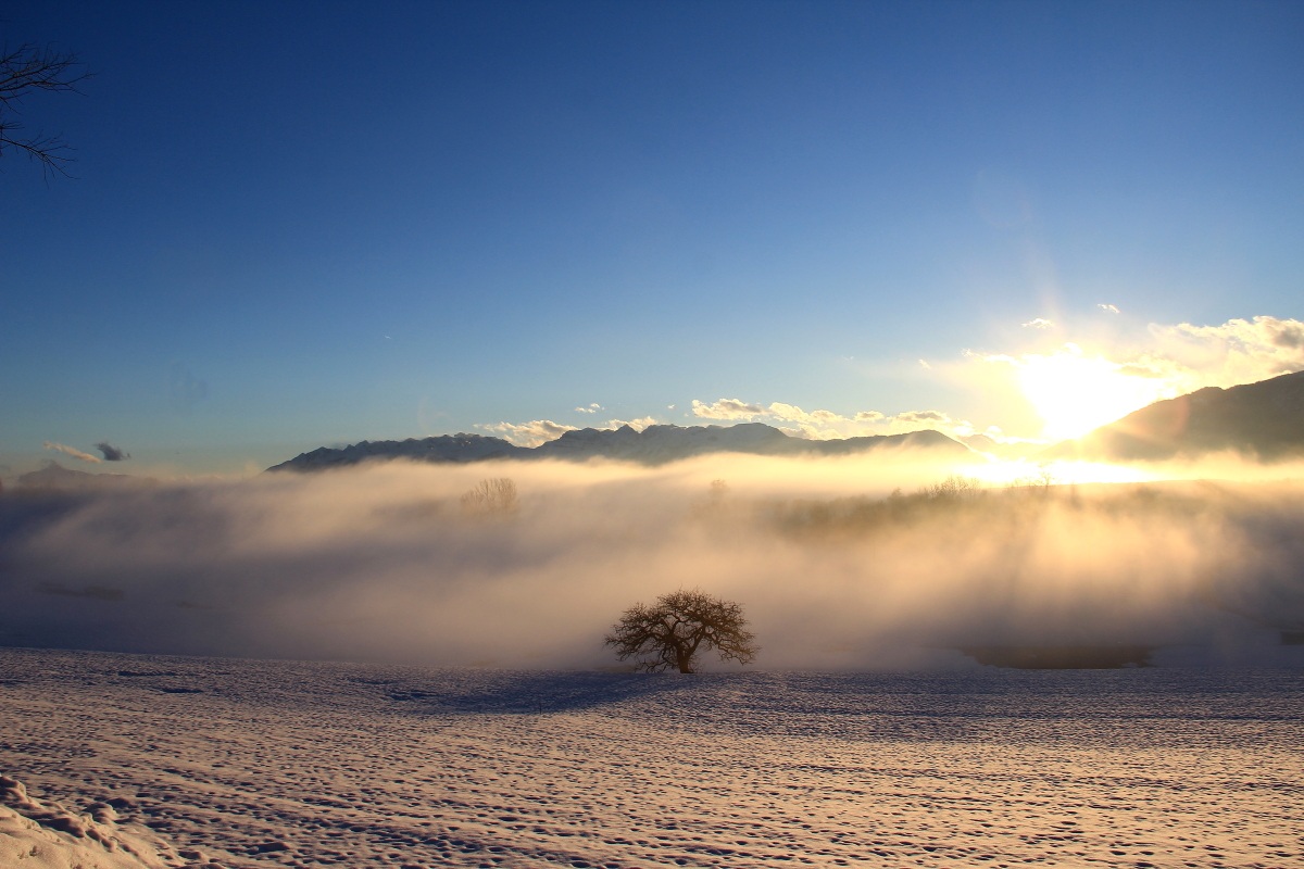 Muro di nebbia al tramonto