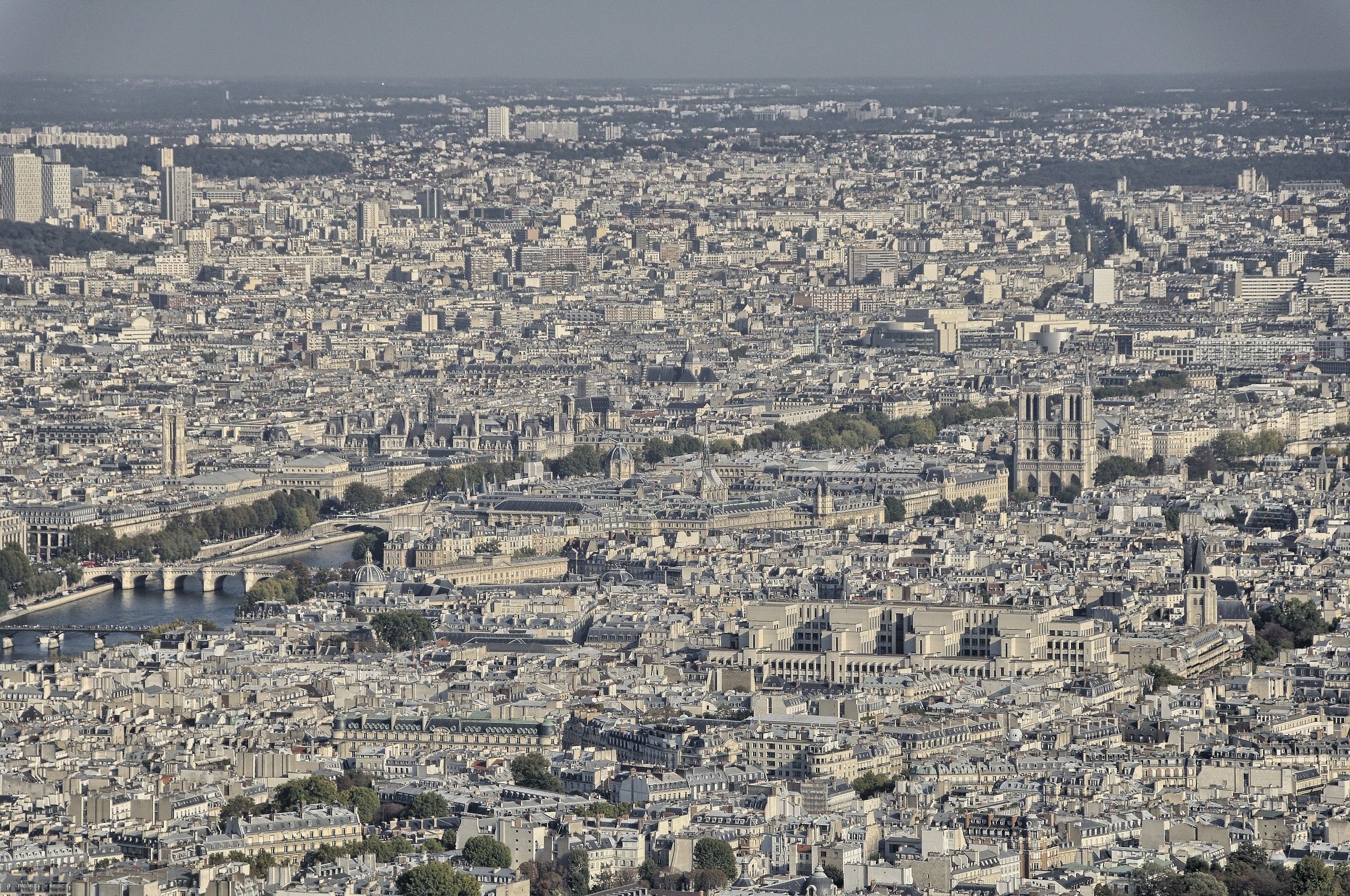 Notredame dalla Tour Eiffel