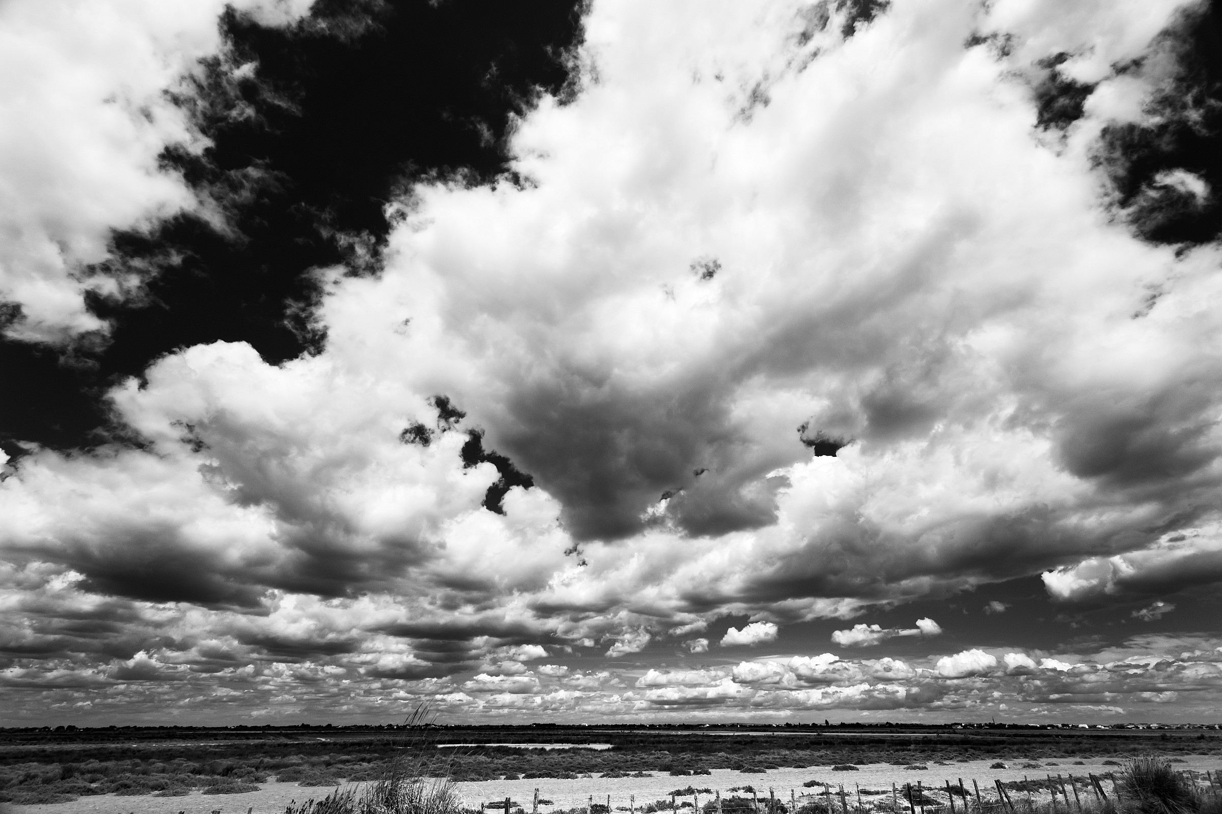 The sky in the Camargue