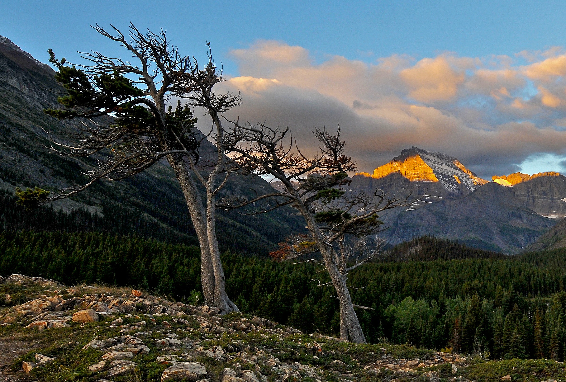 Alba nei pressi di Swift Current Lake