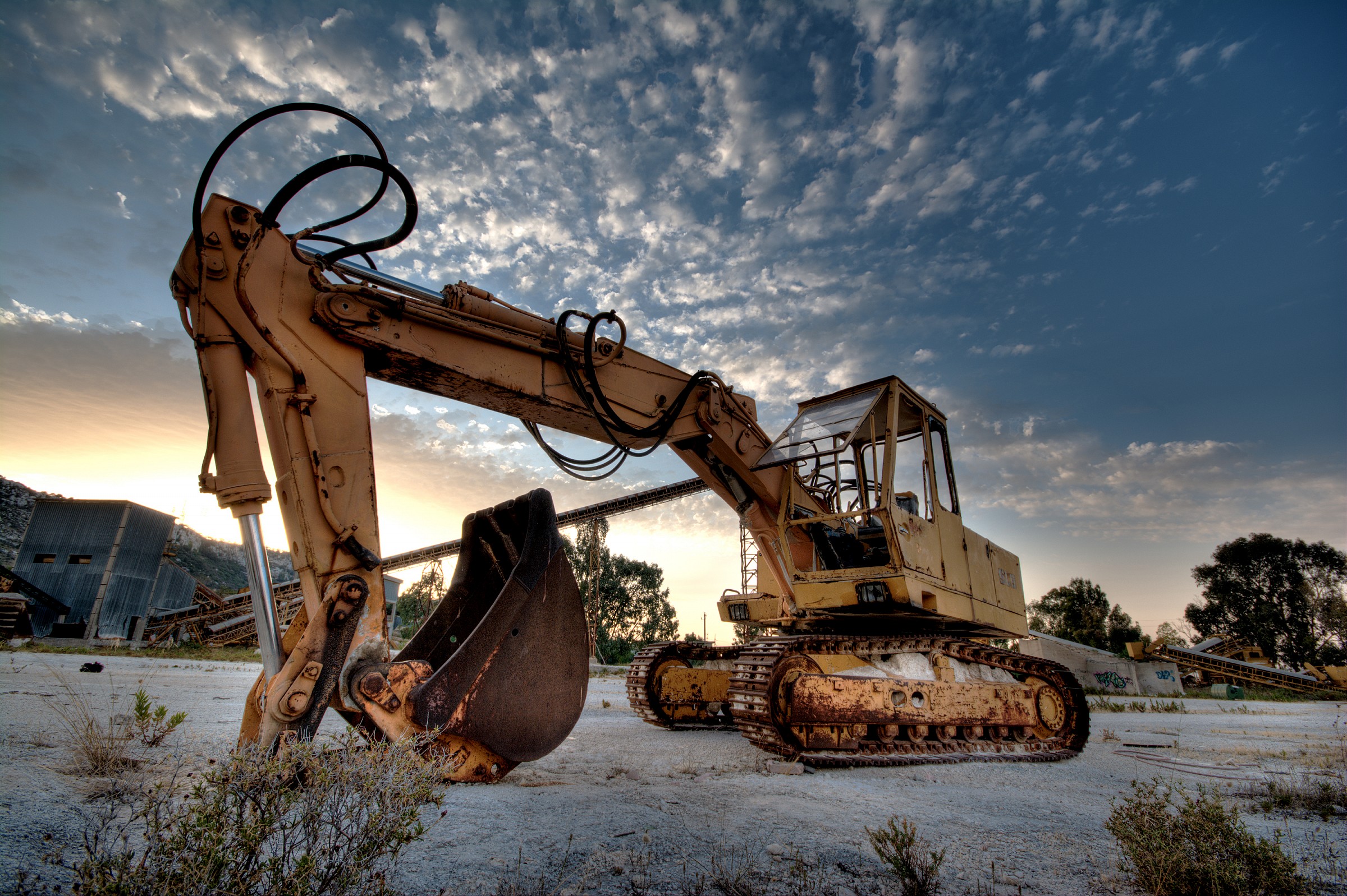 Abbandonata nel suo luogo preferito
