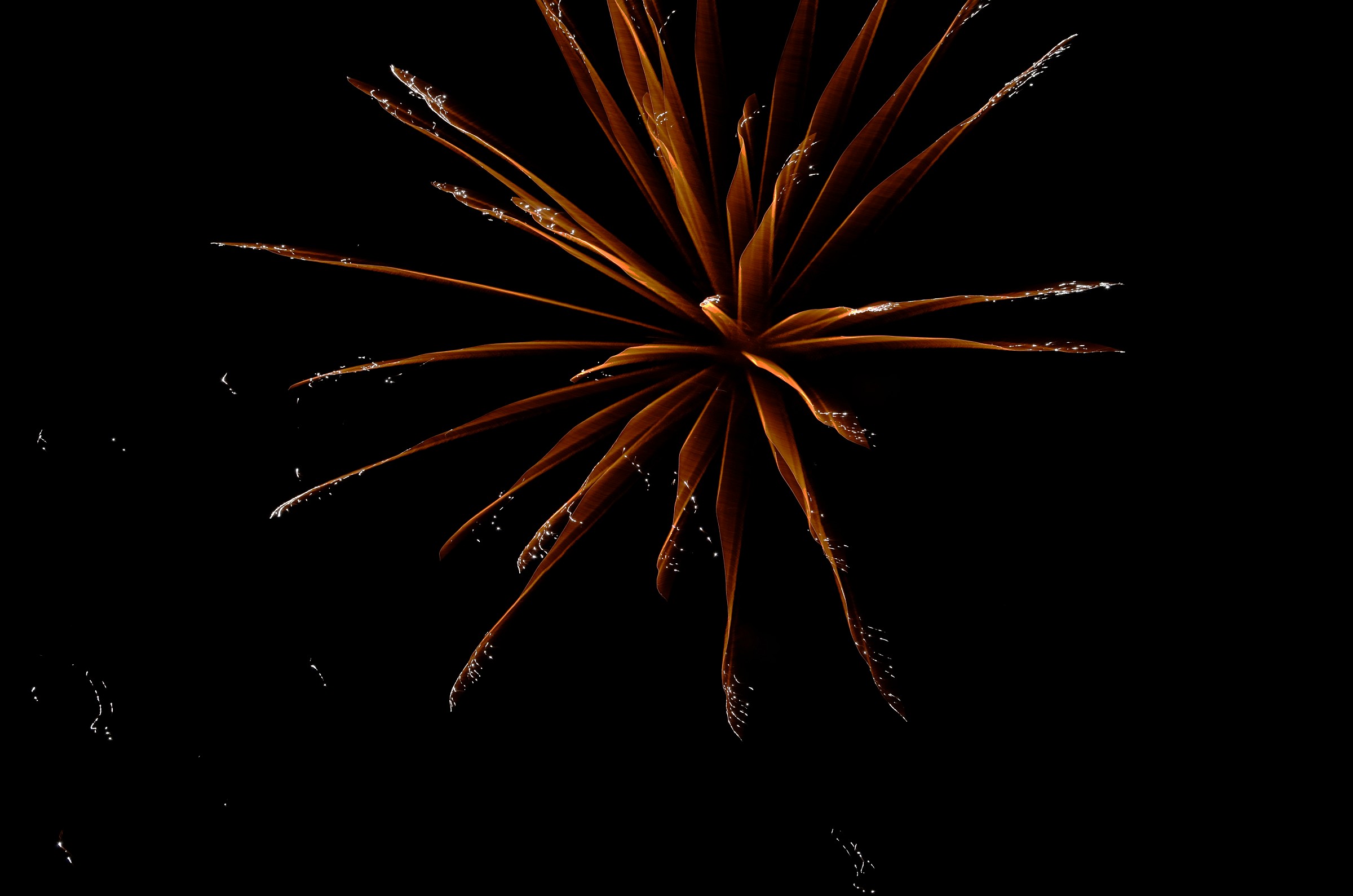 Fireworks 3