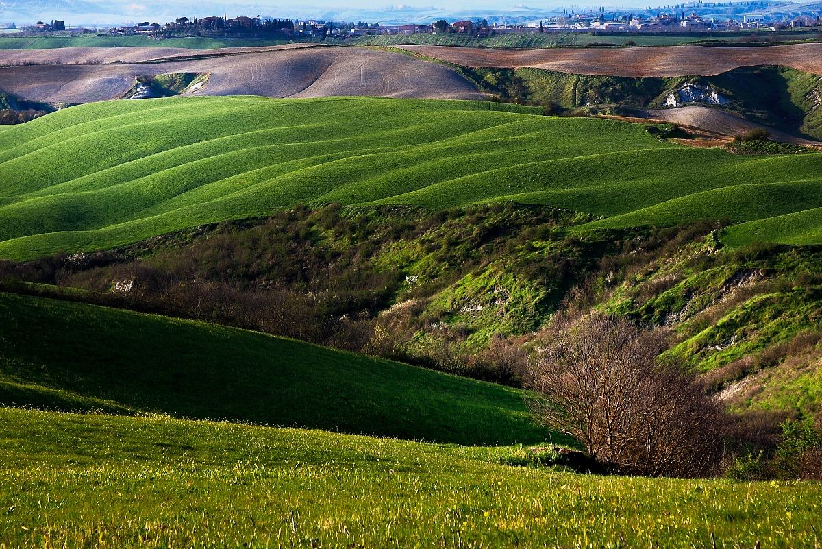 Le biancane di Accona