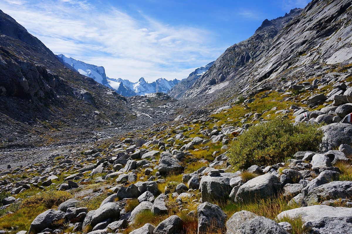 Ghiacciaio del Forno (1)