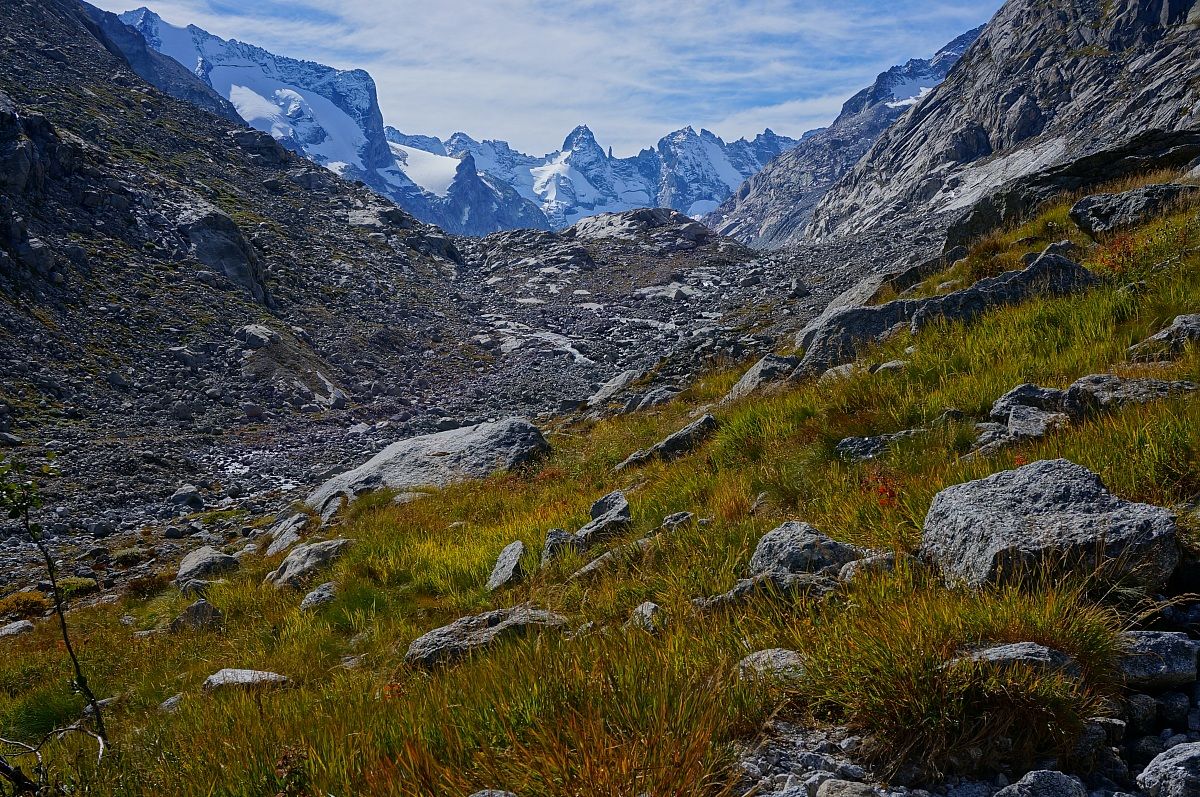 Ghiacciaio del Forno (2)