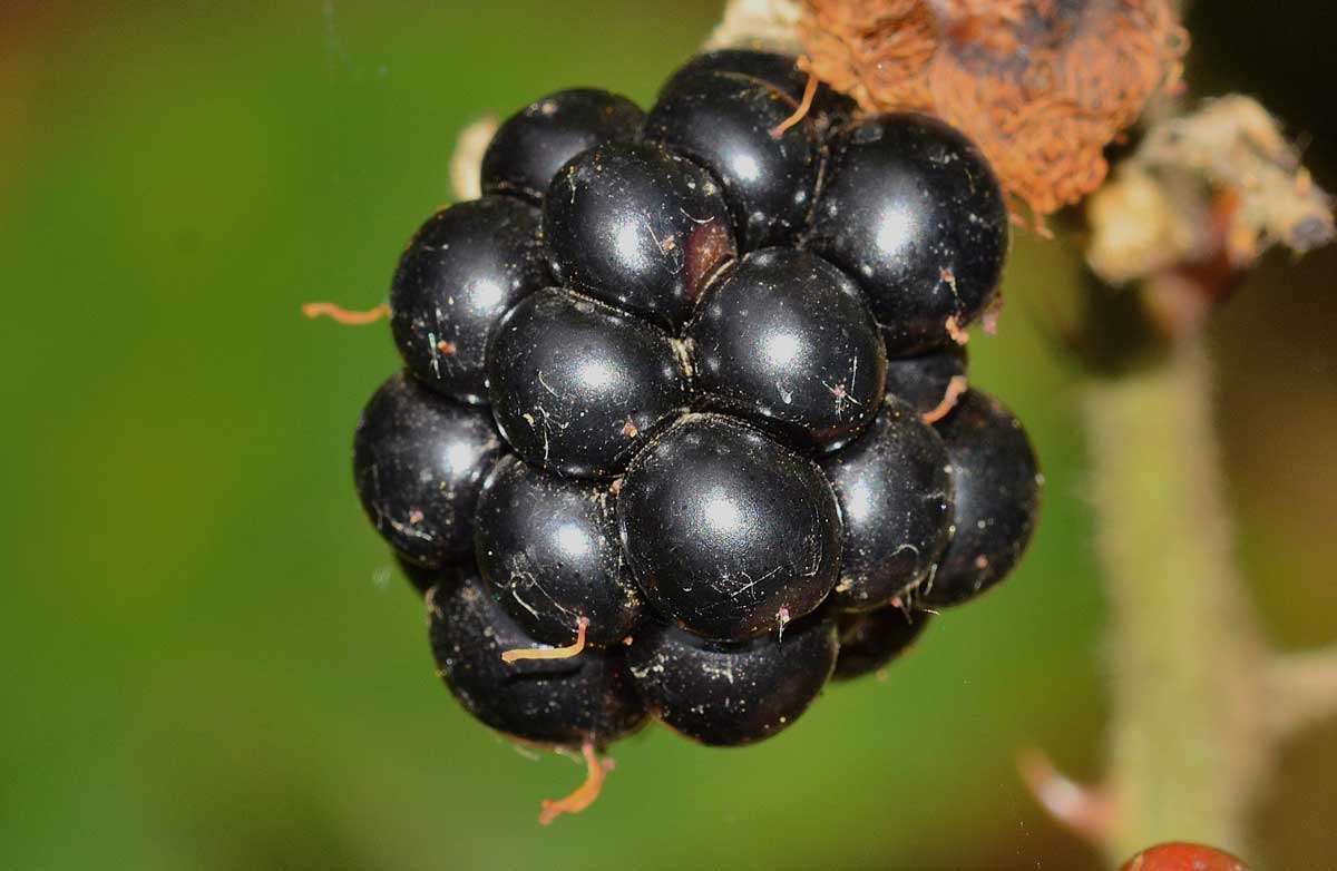 What a pretty brunette