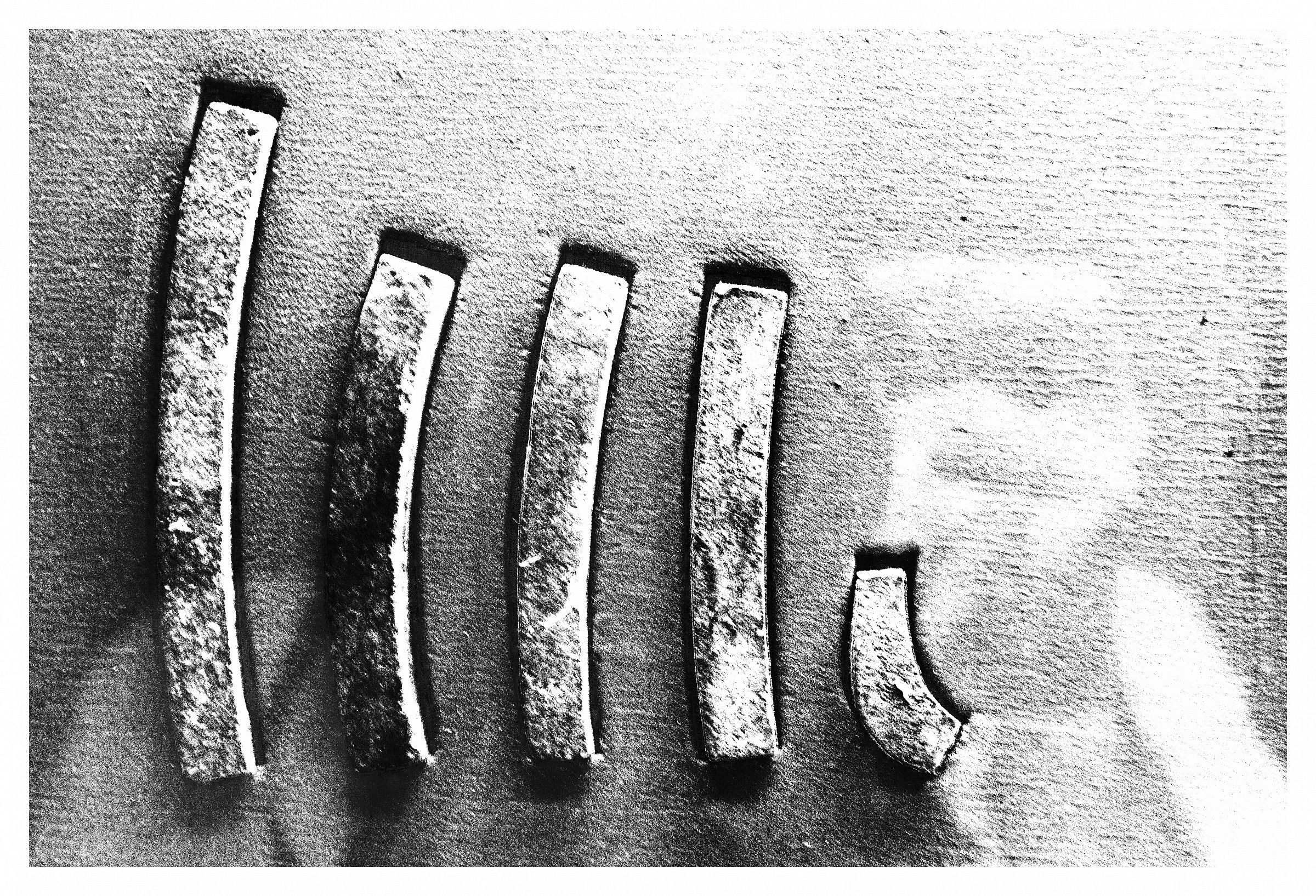 Parentesi della vita