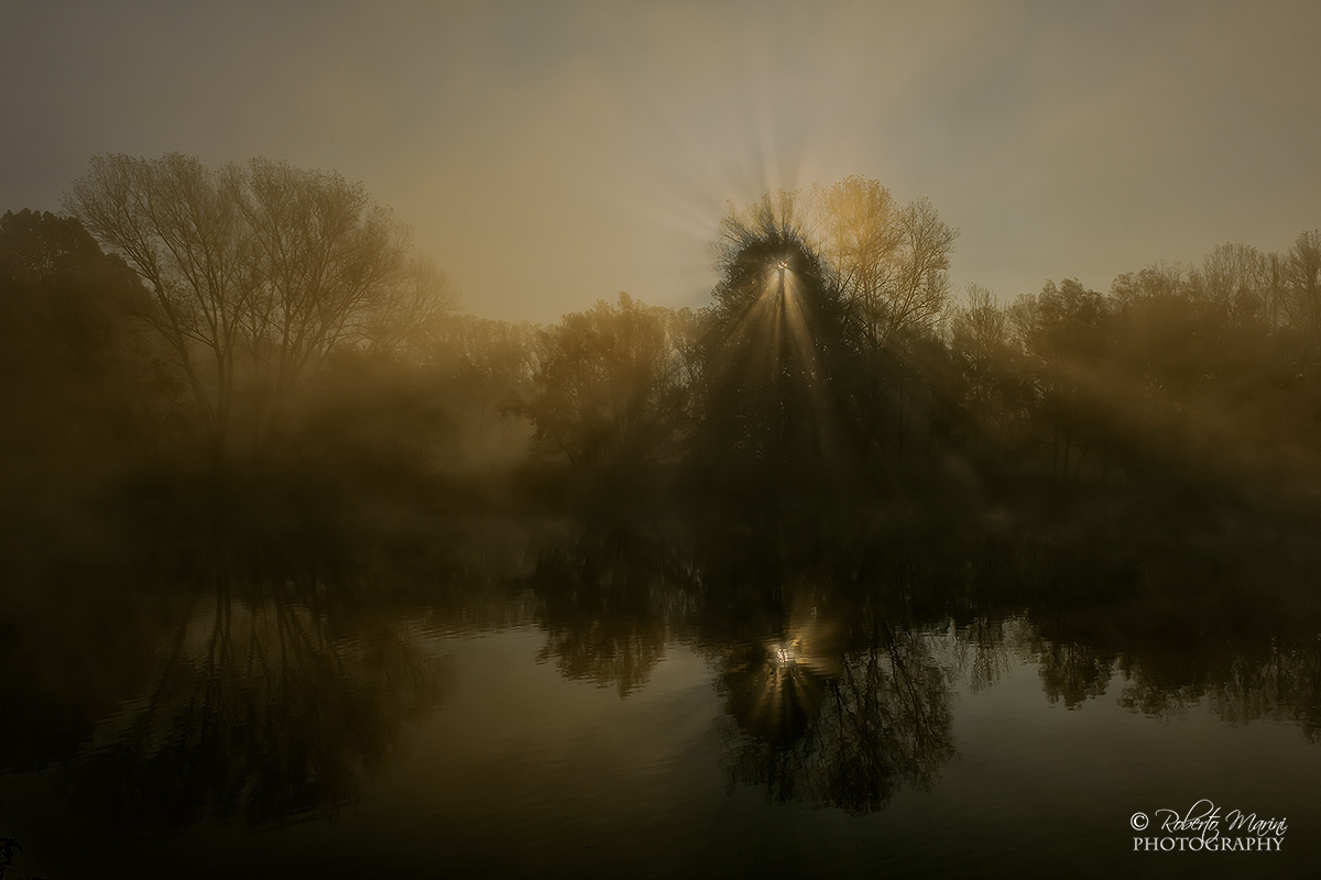 Explosion of light on the river