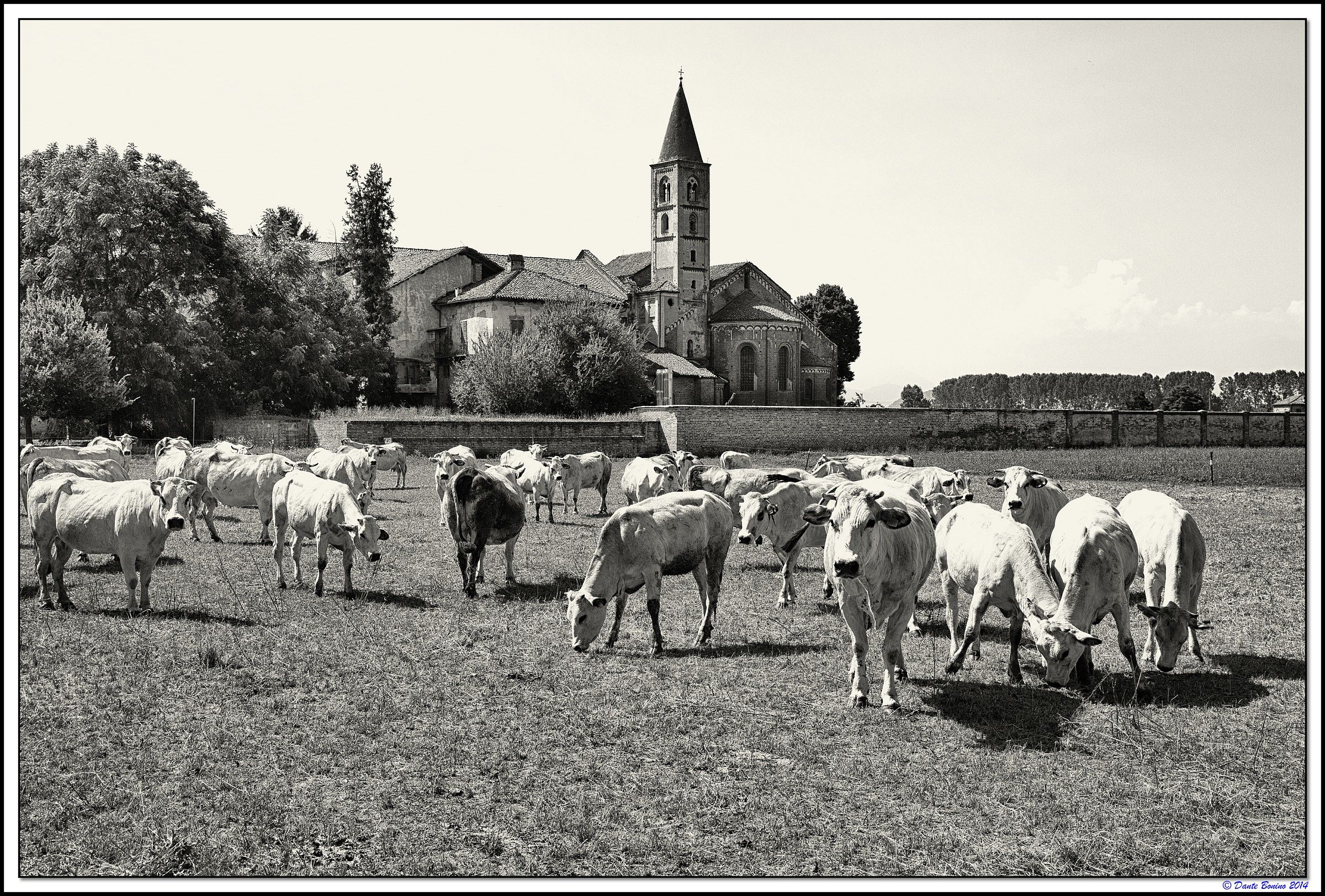 The Abbey of Santa Maria di Staffarda