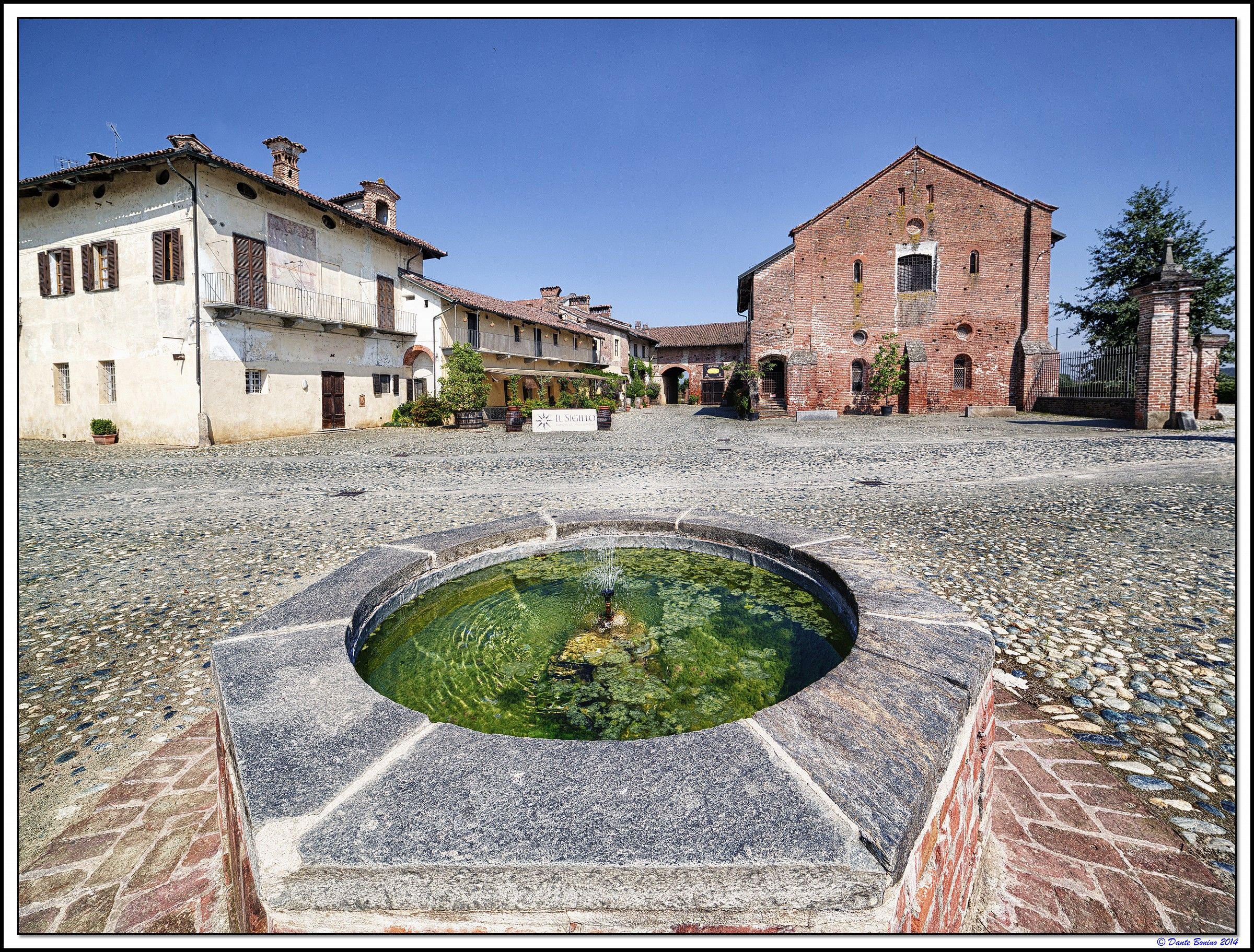 Courtyard and Forestiera