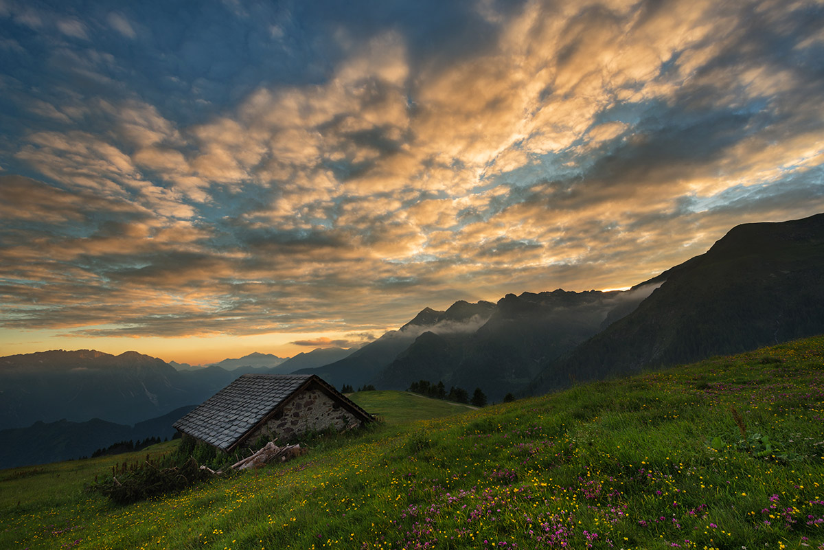 Back side of my home