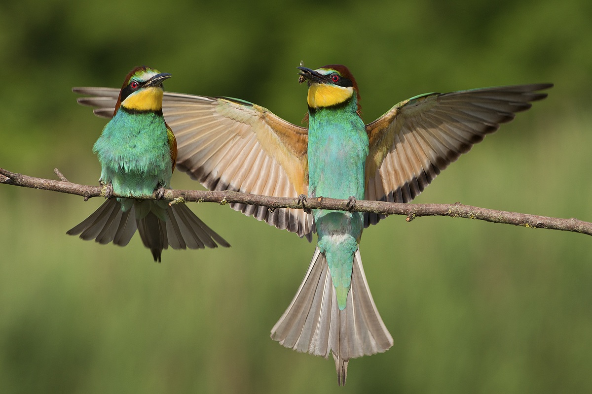 signals of approval ...