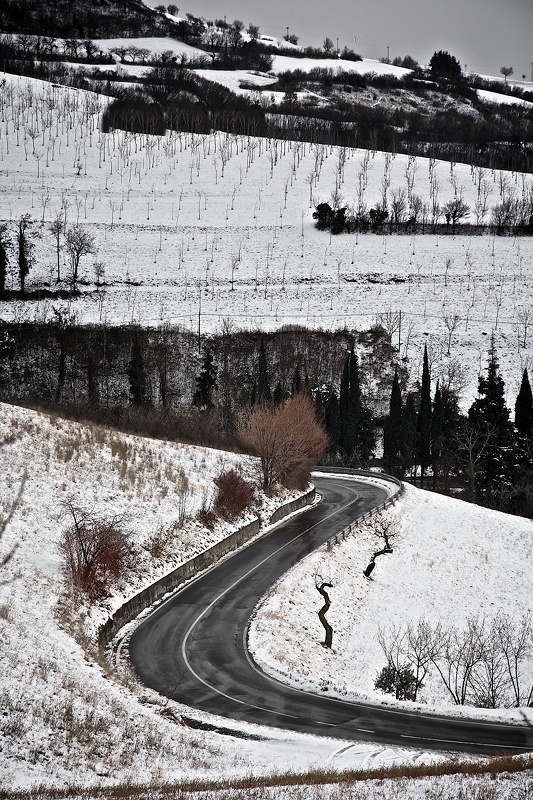 Road Romagnano Azzago (VR)