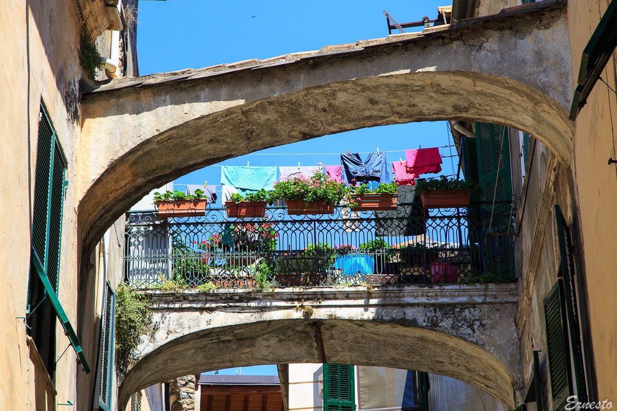 Contrafforti Fioriti