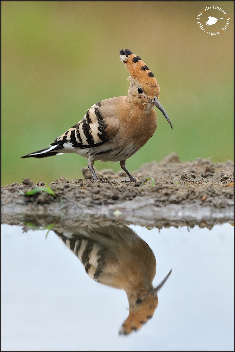 Mirror of Erised my ........