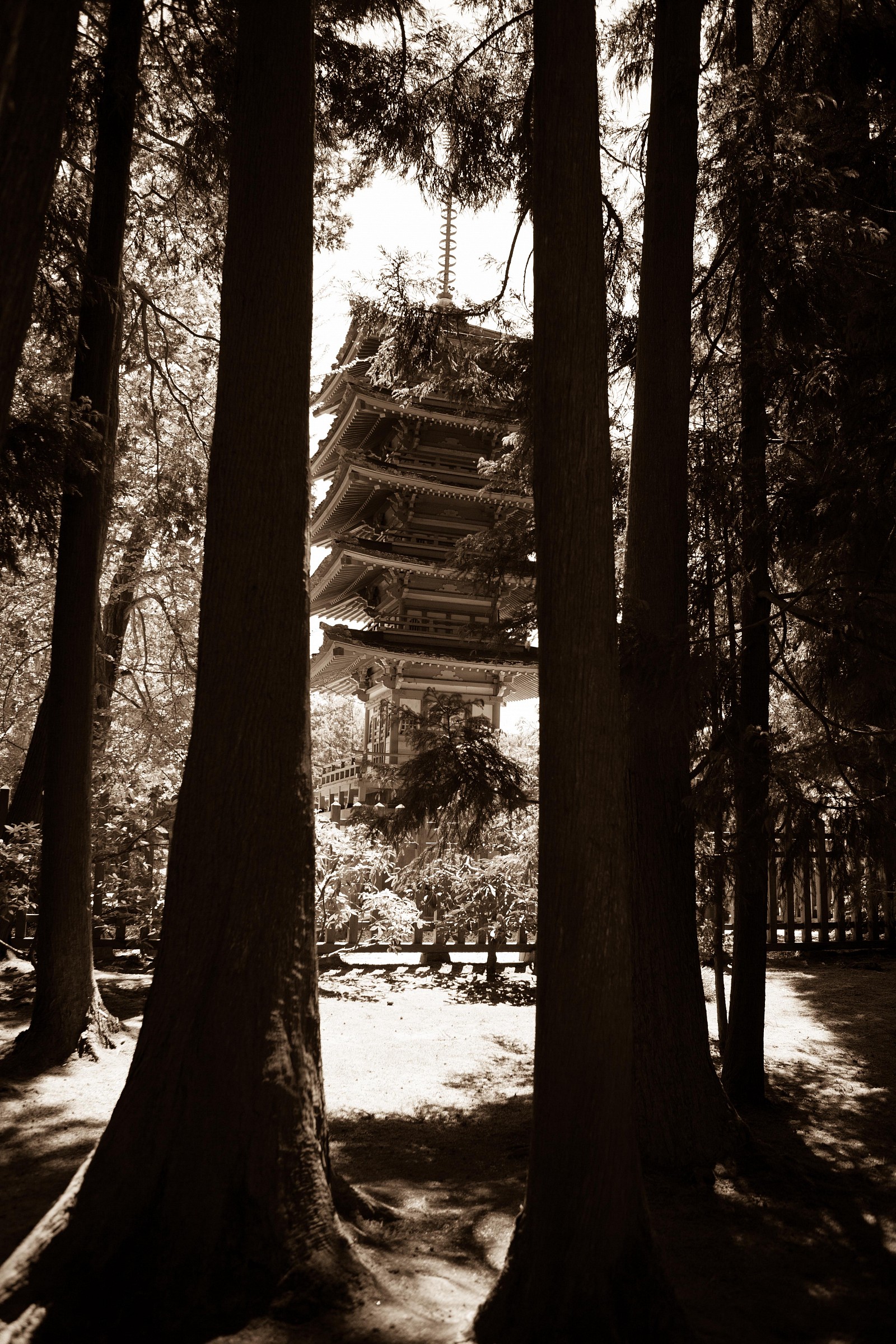 a bit of Japan in San Francisco