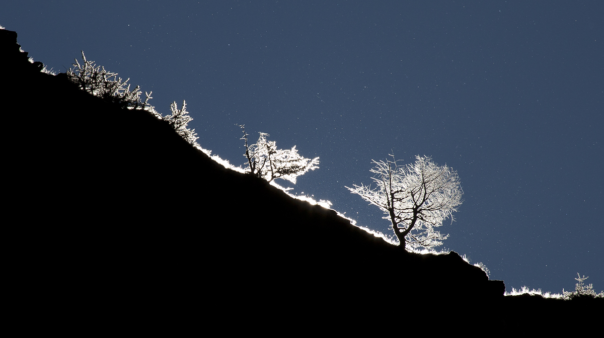 .. And the sun gives life to the ridge