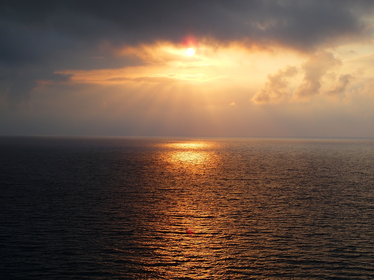 Un sentiero di miele