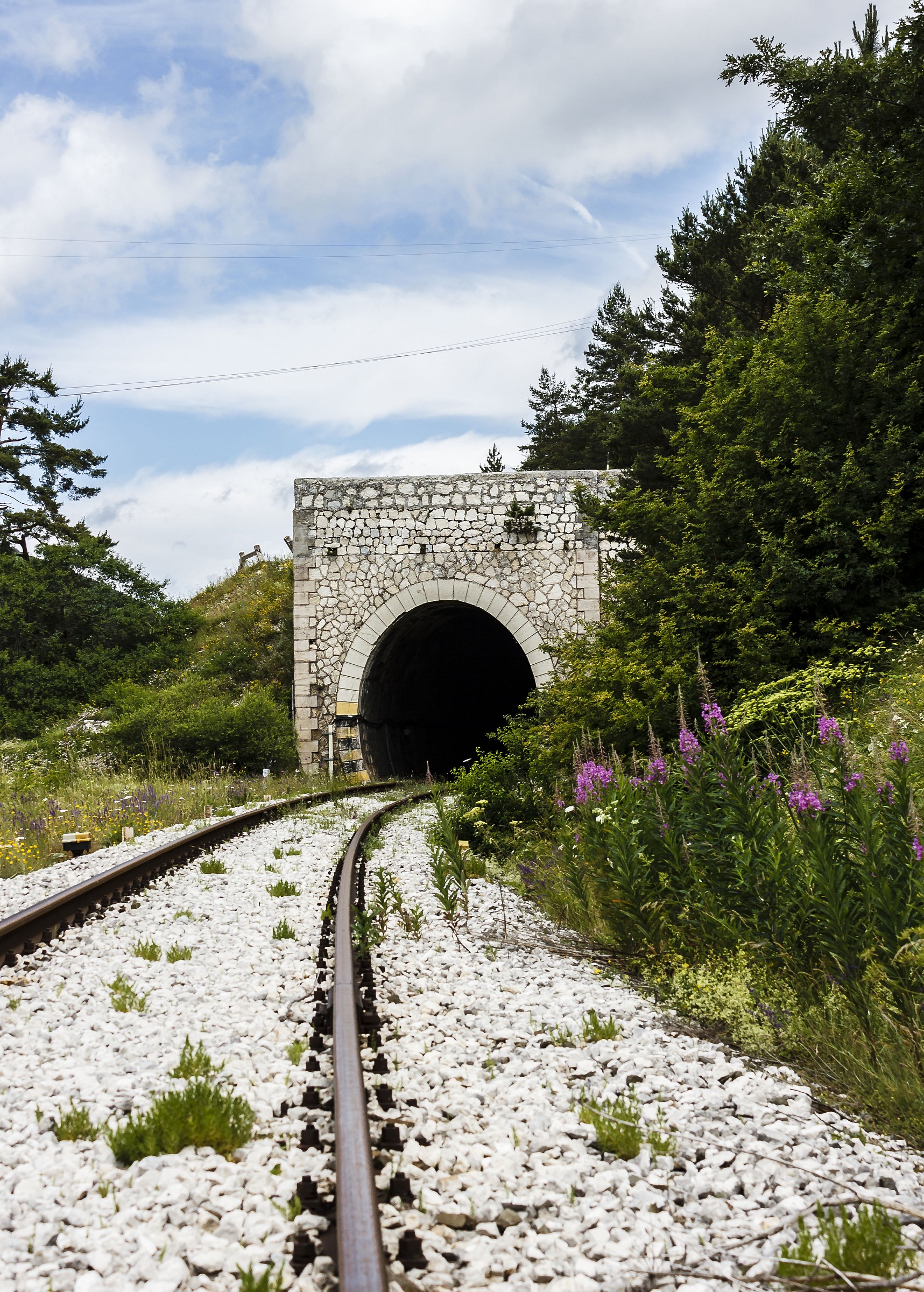 Out of tunnel_Palena