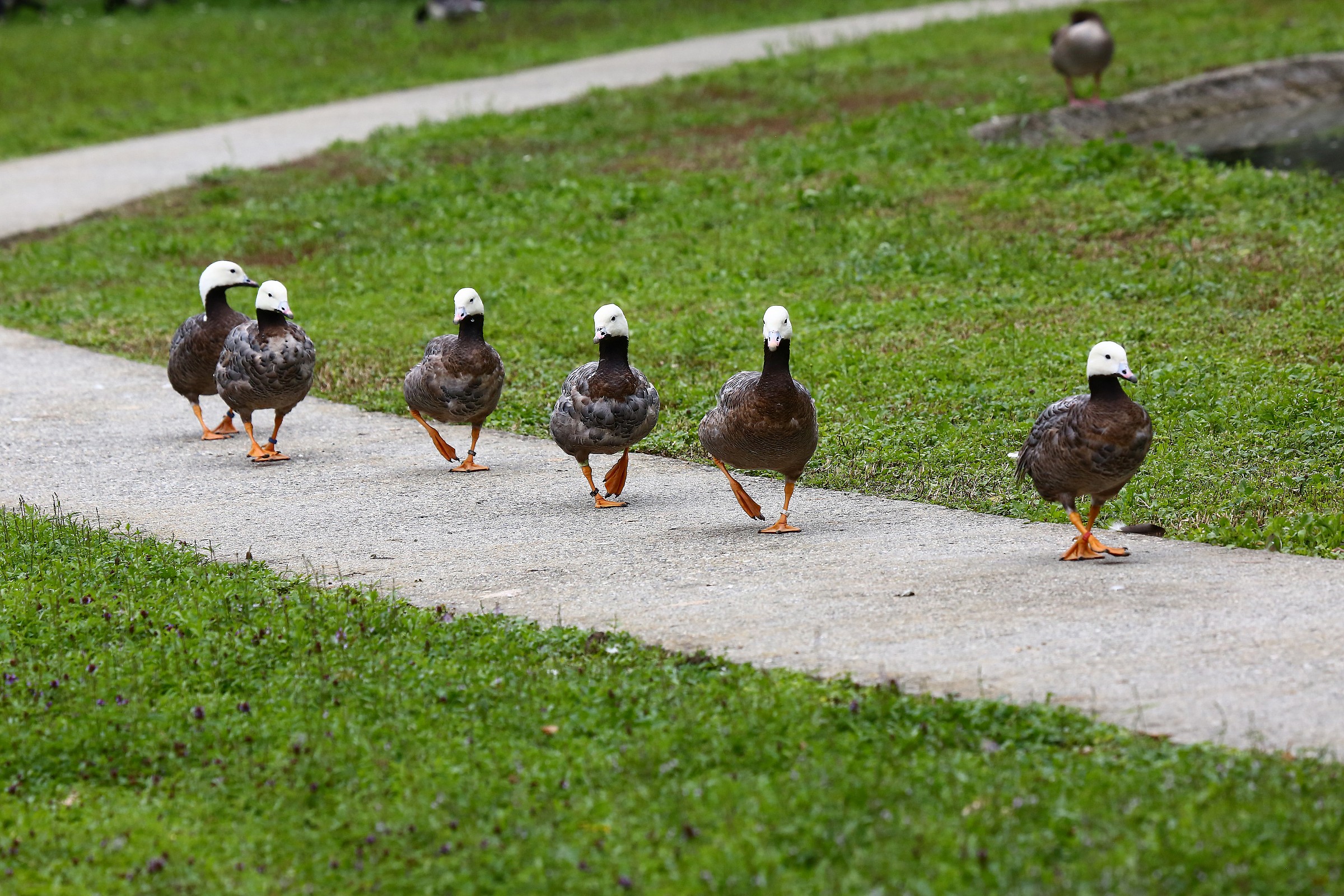 Tutti in fila per uno