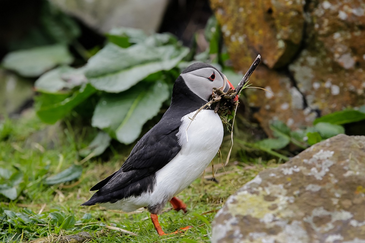 Piccoli lavori domestici