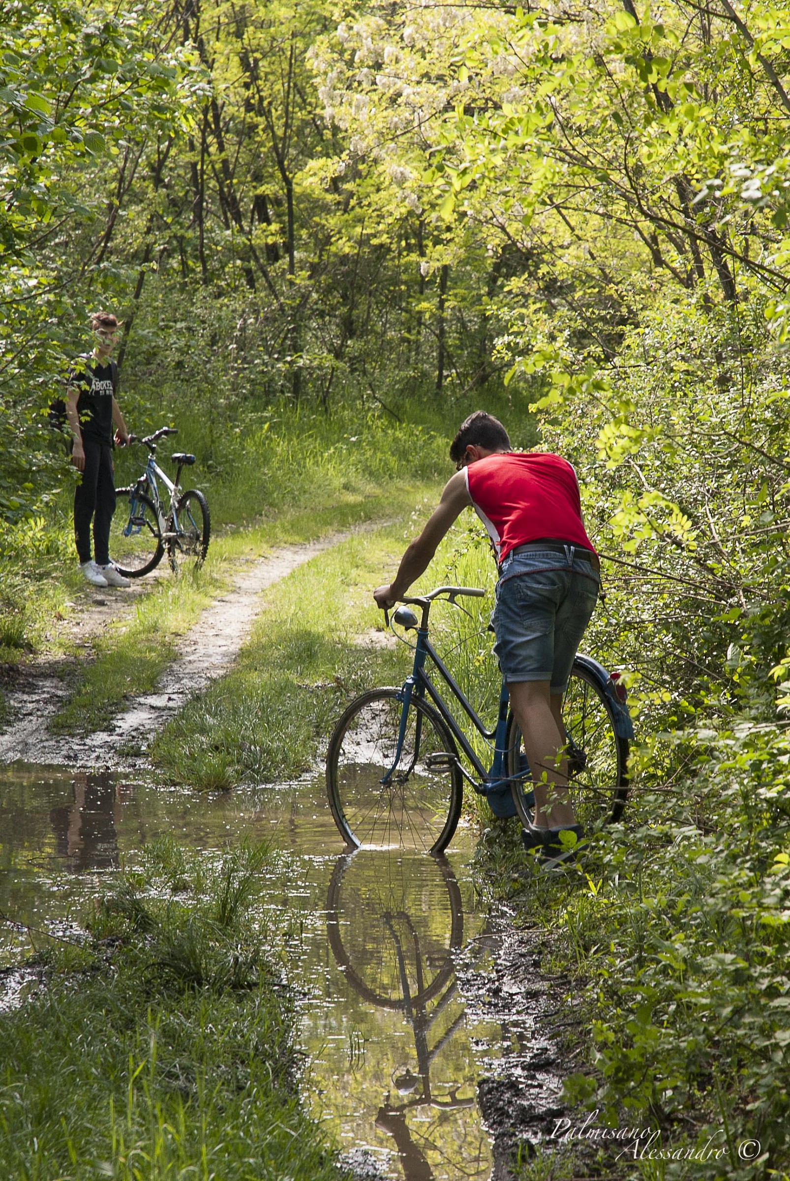 bike in the woods
