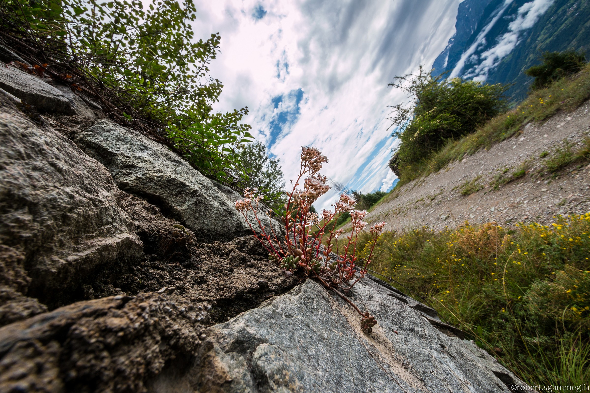 So many colours in our life