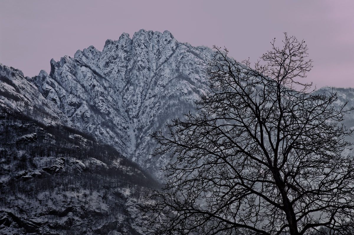 Valsesia-teeth Gavala