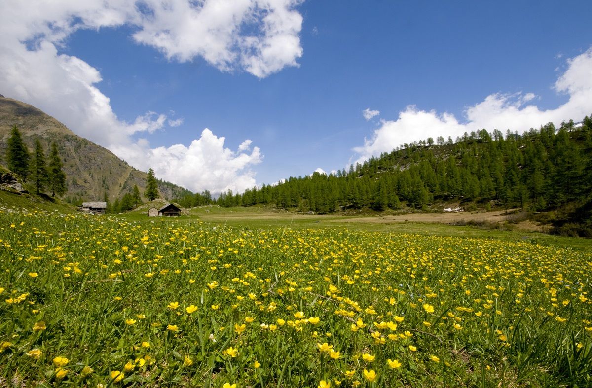 Riva valdobbia-alp Larecchio