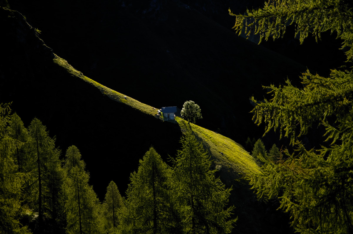 Rimasco-alp beautiful Gold