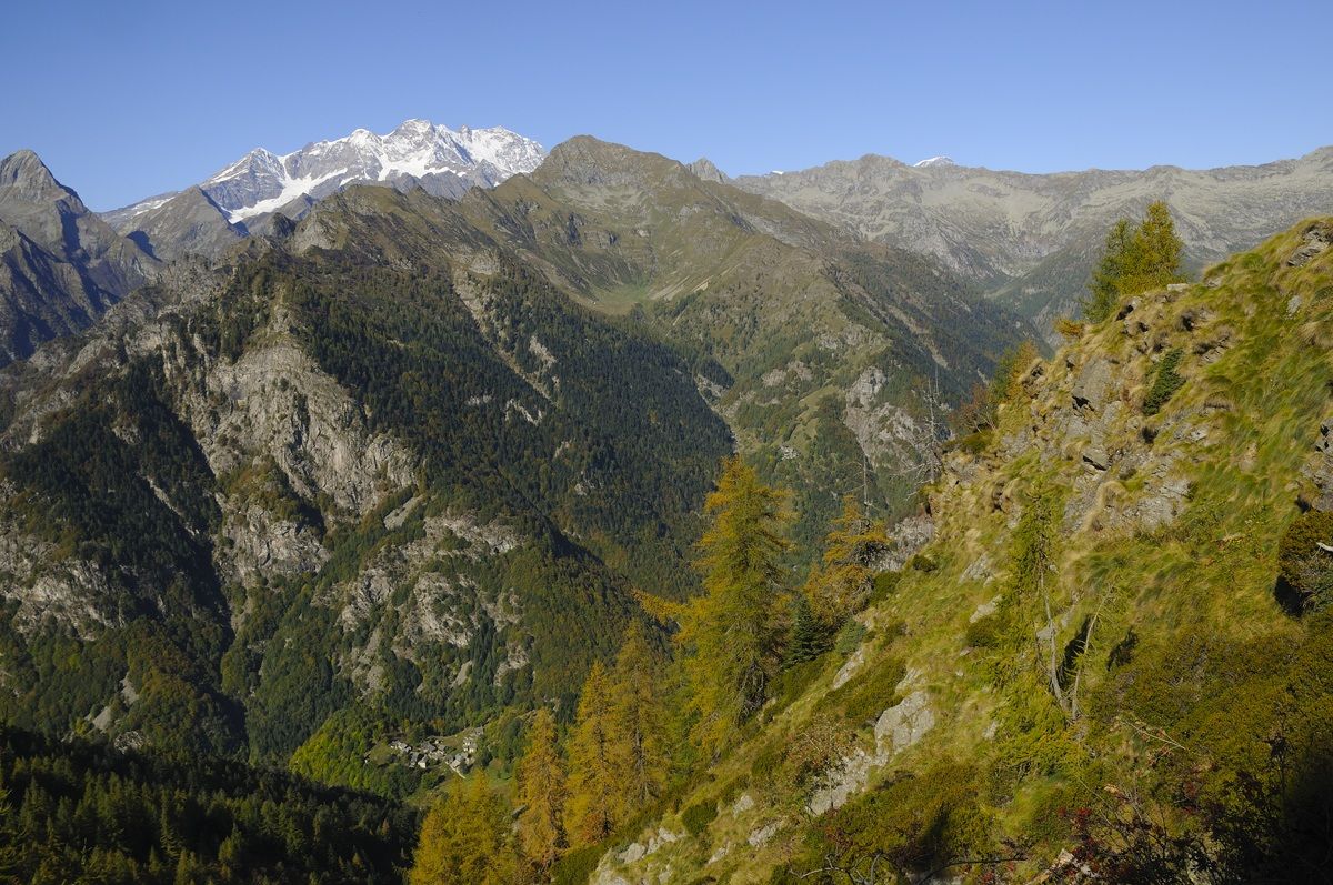 From alp-Rimasco Valley '