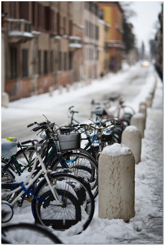 Ferrara and Snow