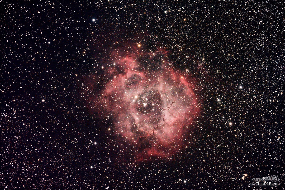 The Rosette Nebula