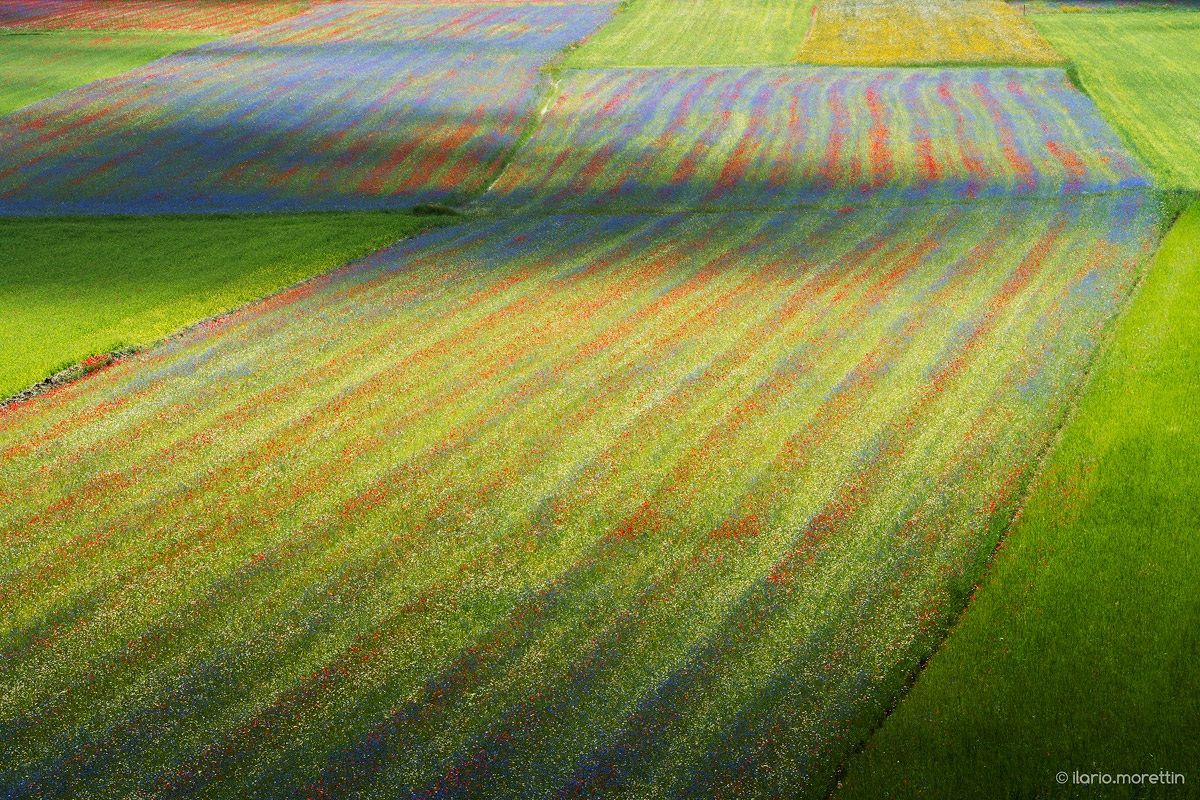 From organic farming.