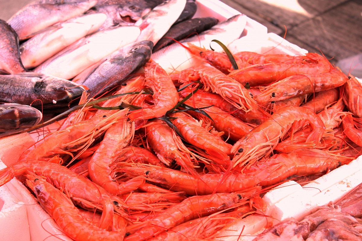 Pesce appena pescato al porto di Gallipoli