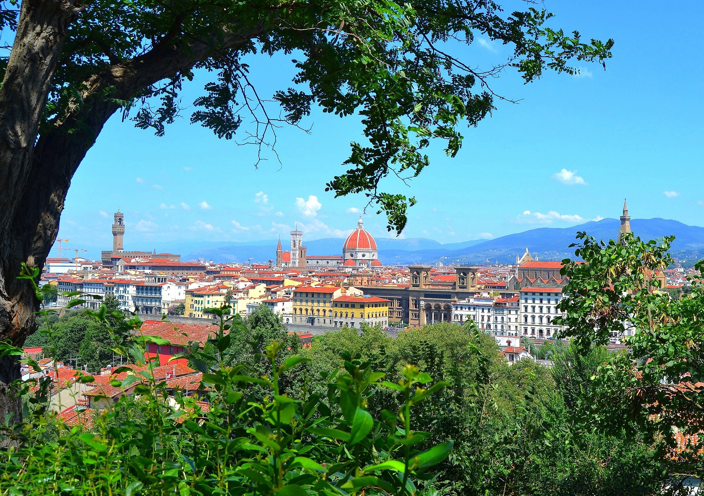 firenze da Piazzale Michelangelo