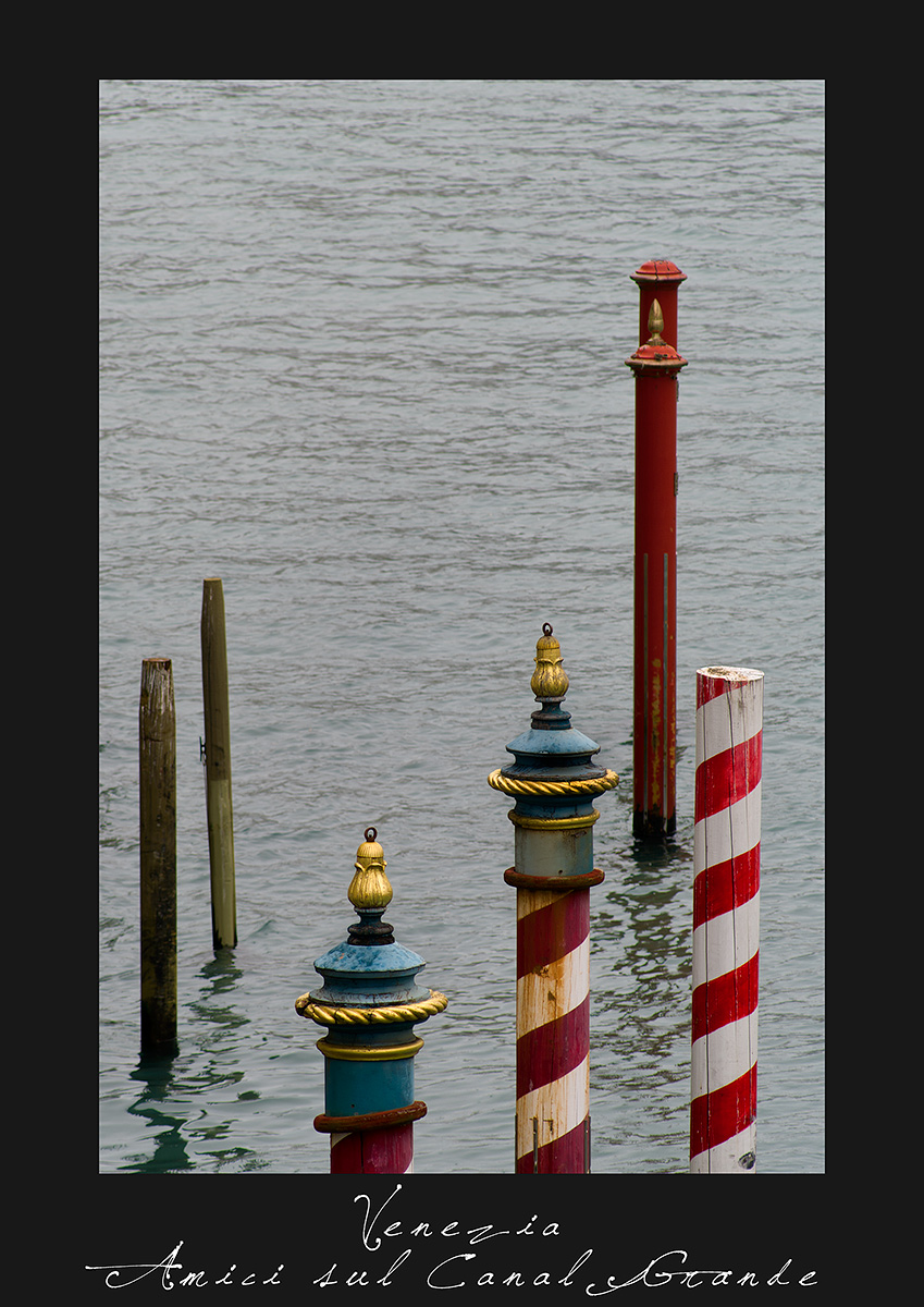 Amici sul Canal Grande