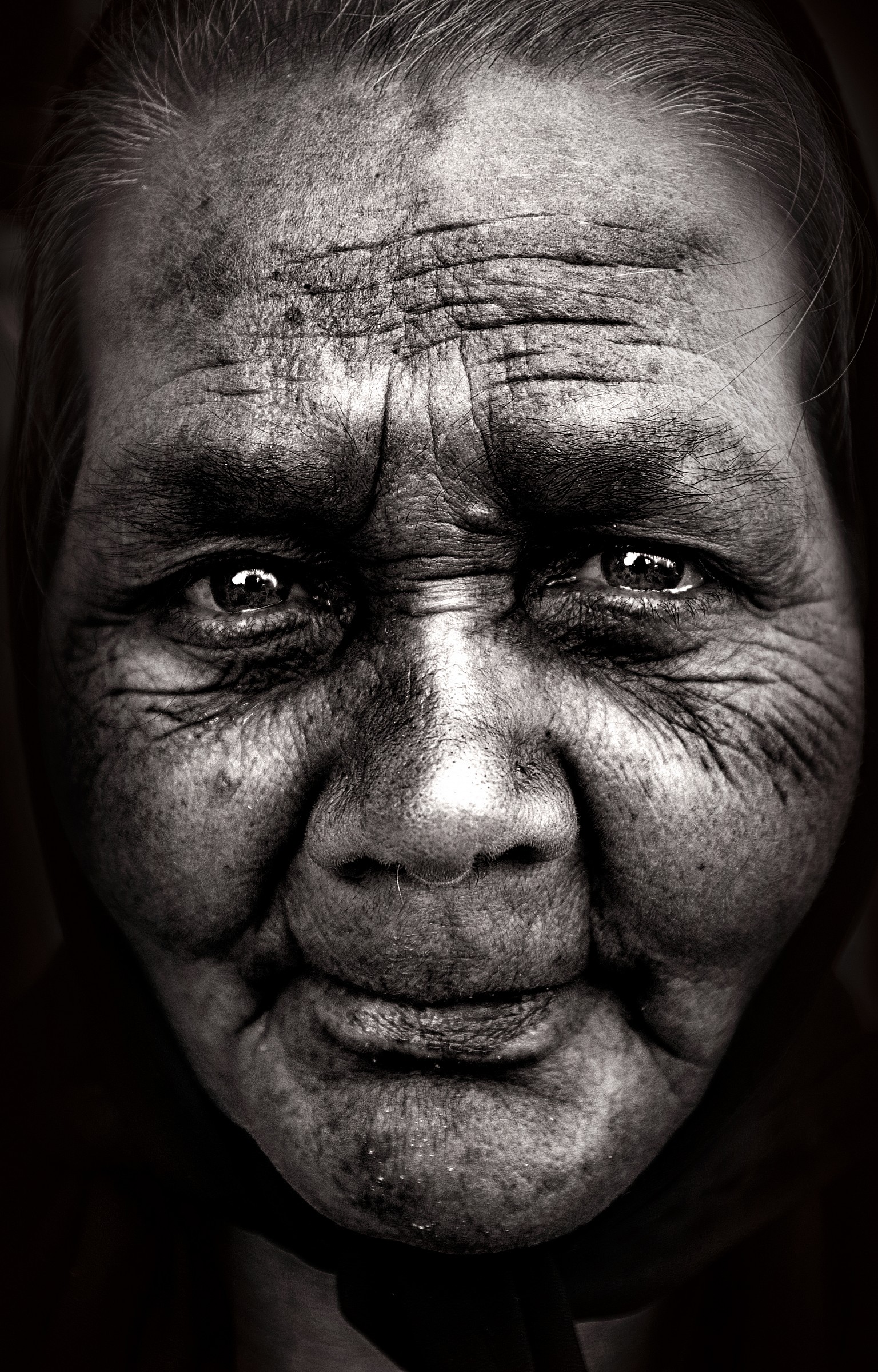 Portrait of an old lady