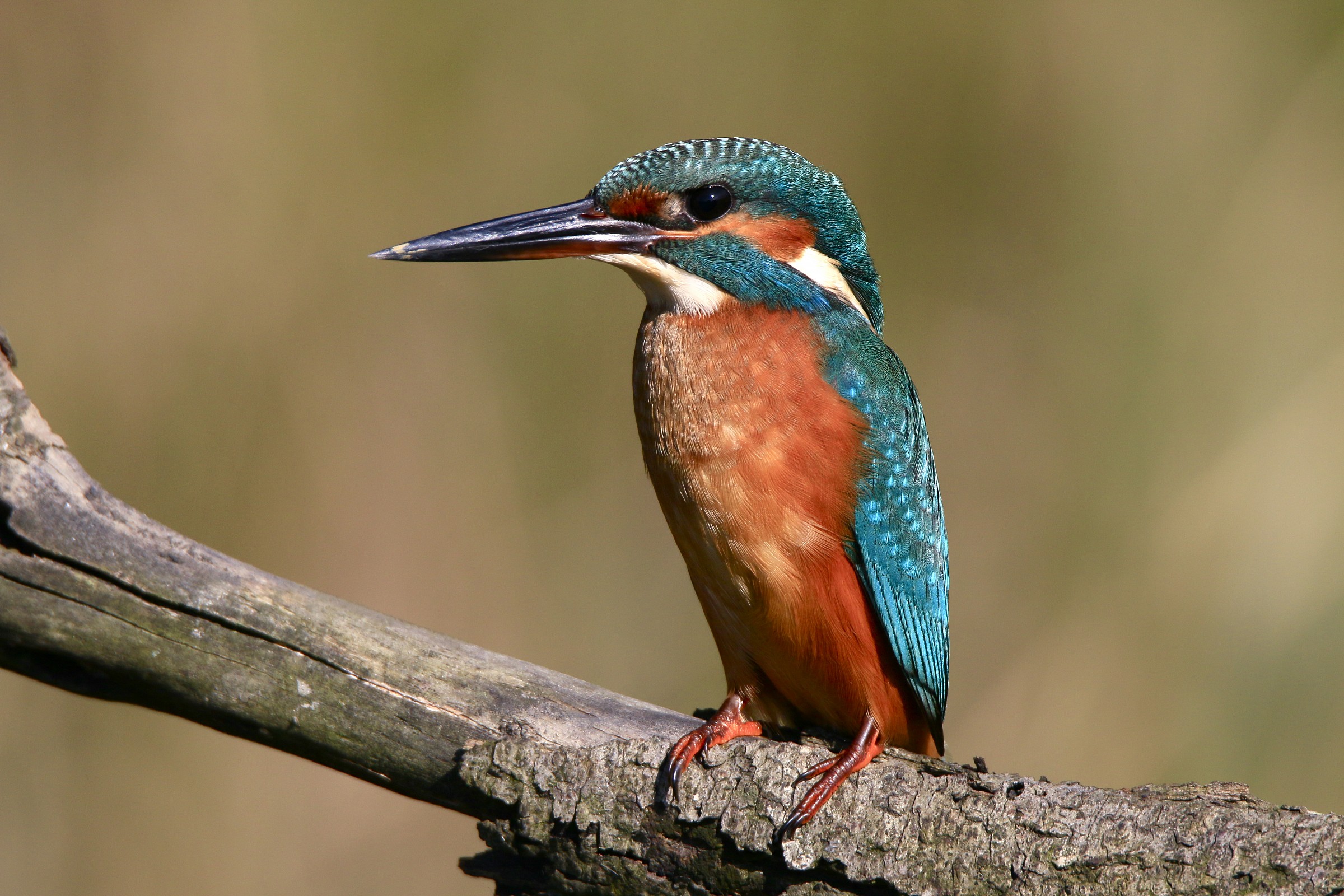 oggi fra una nuvola ed un altra