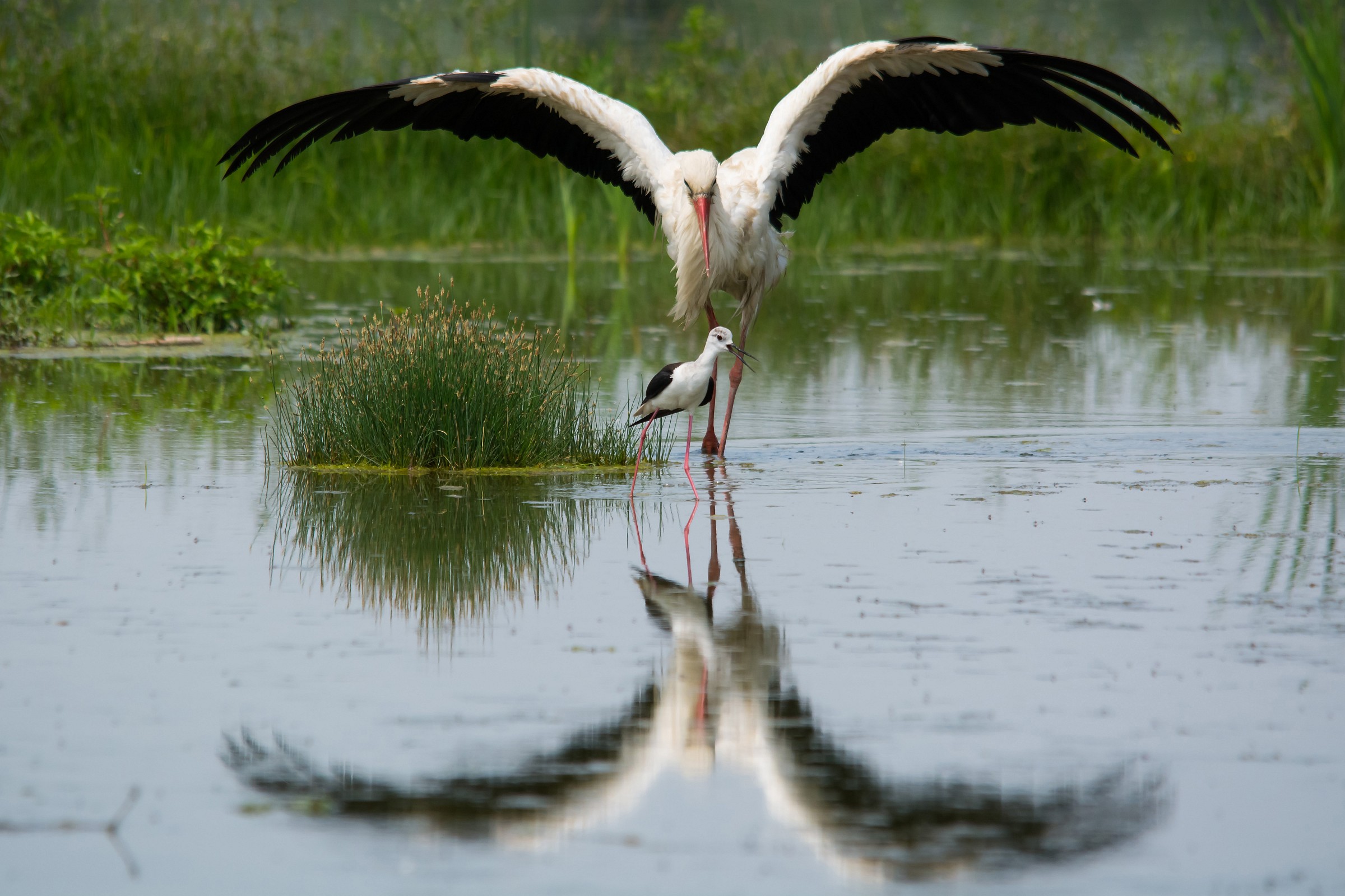 non è il caso di discutere...