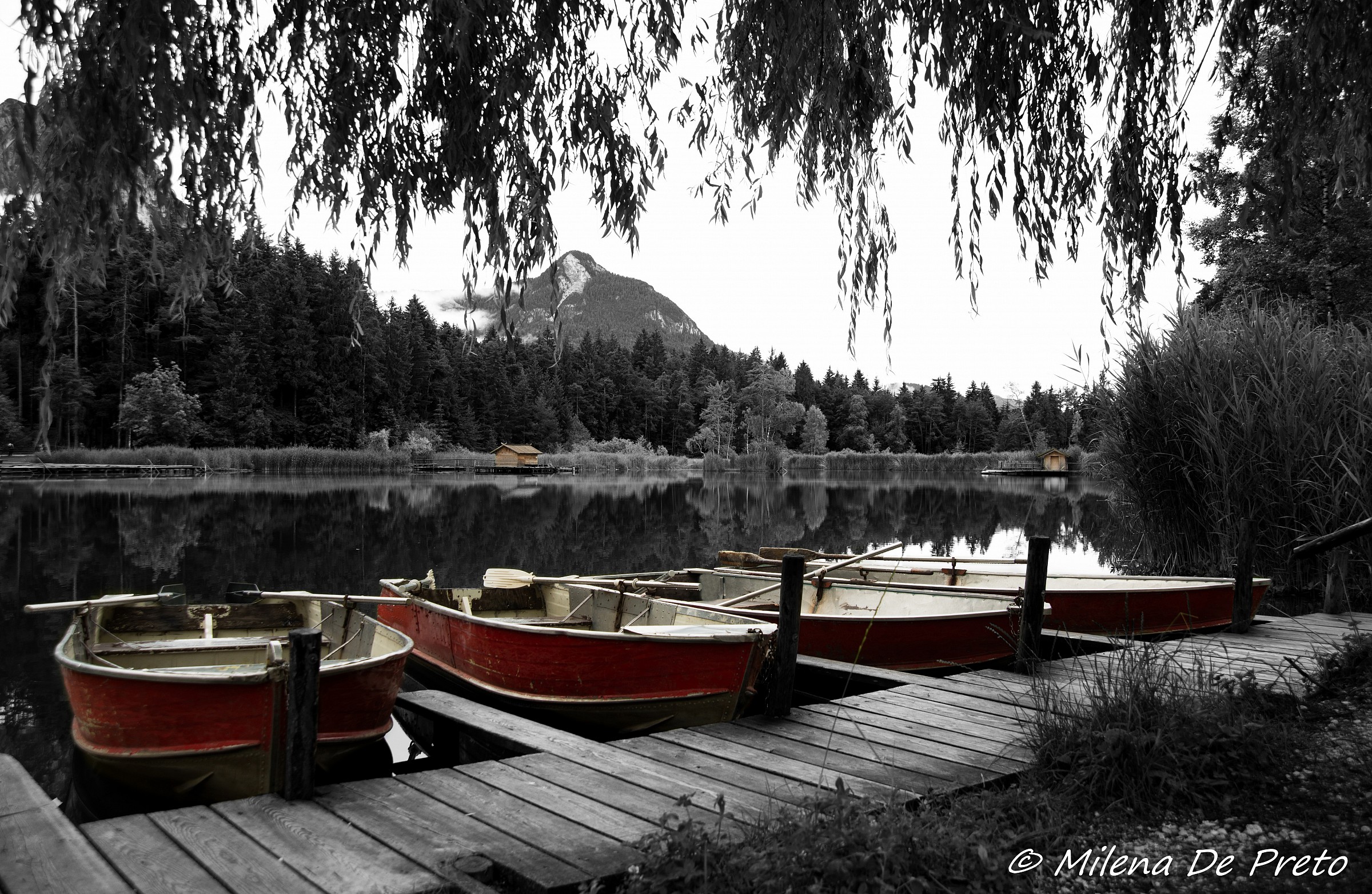 different perspectives