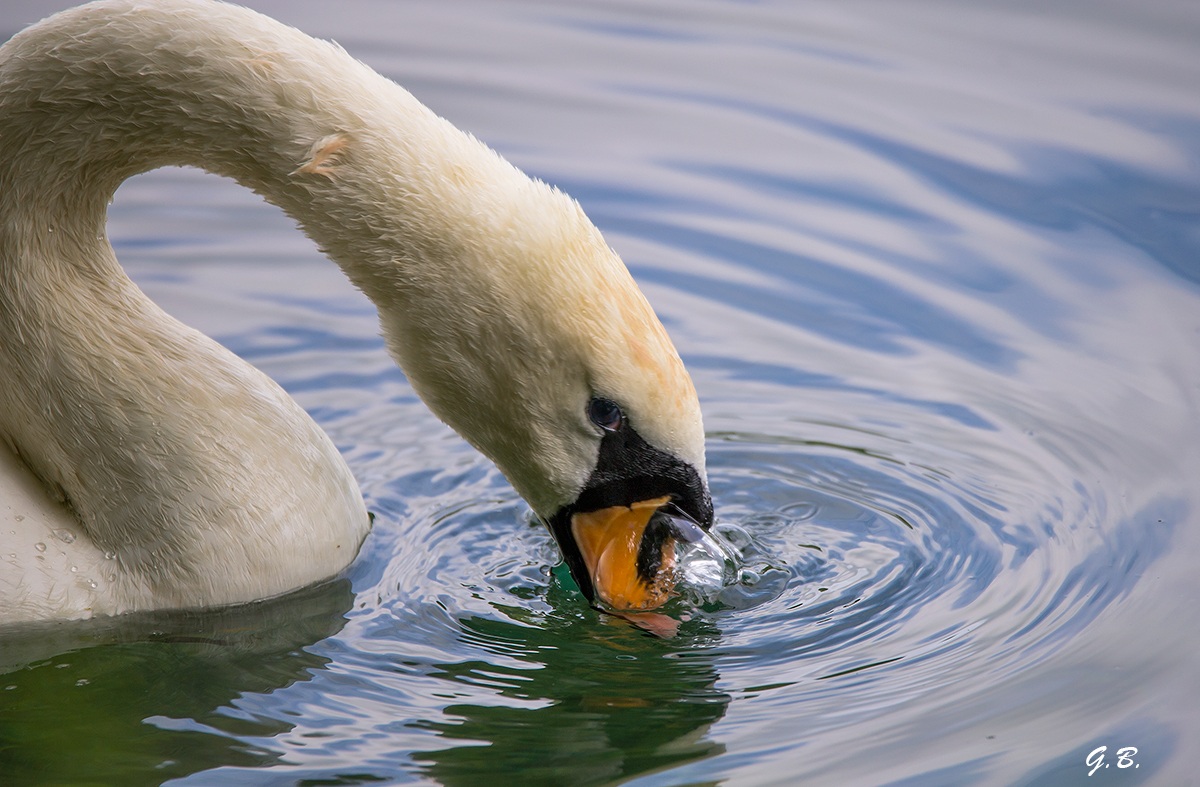 Gioco con le bolle...