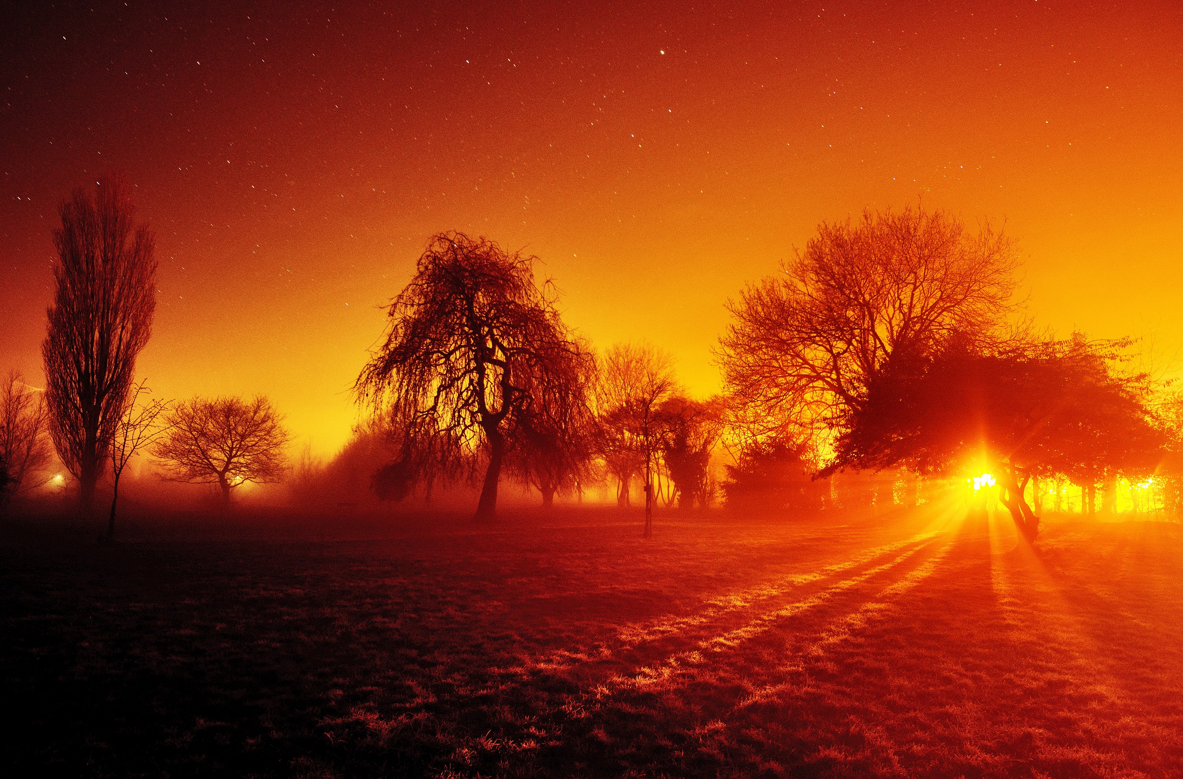 Stars, Nebbia, Brina e di sicurezza luci