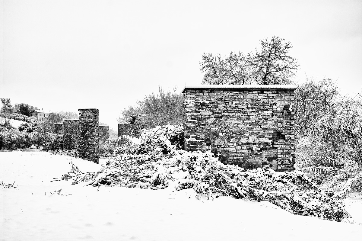 Il vecchio tiro a segno (2)